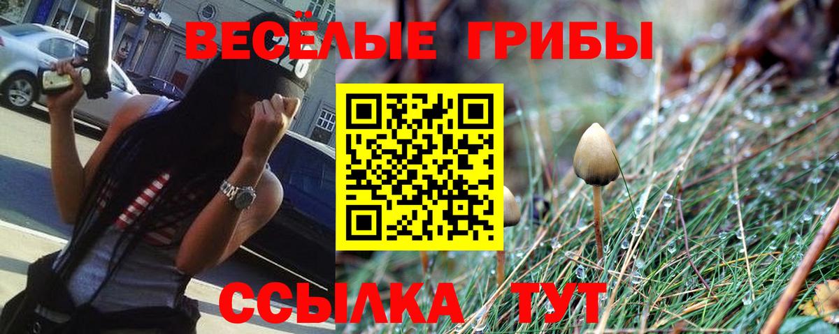 Галлюциногенные грибы Psilocybe  Галлюциногенные грибы Cubensis  Электросталь  Вход с VPN 