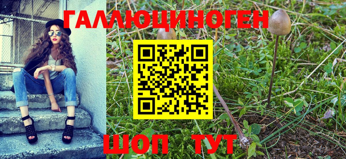 Галлюциногенные грибы MAGIC MUSHROOMS Электросталь